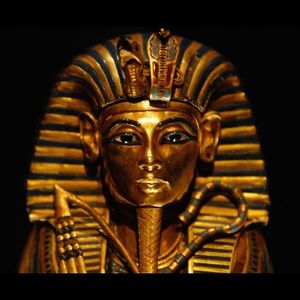 Meet your Posher, Julius